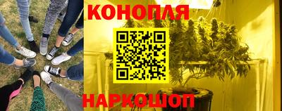 PSILOCYBIN Бугуруслан