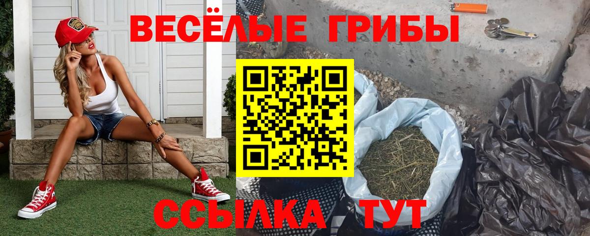 Галлюциногенные грибы Psilocybine cubensis  Вход с VPN  Шуя  закладка  Псилоцибиновые грибы Psilocybe 