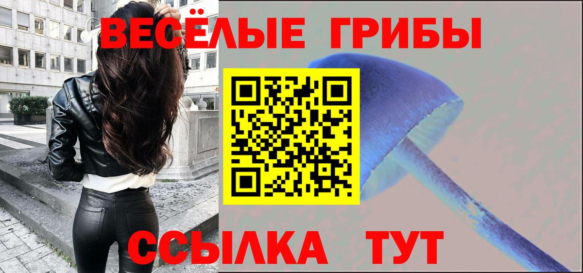 Галлюциногенные грибы Psilocybe Шуя